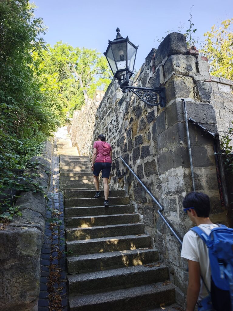 Aufstieg auf den Münzenberg Quedlinburg über die Münzenbergtreppe